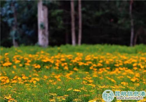 90945977_副本 90945977_副本