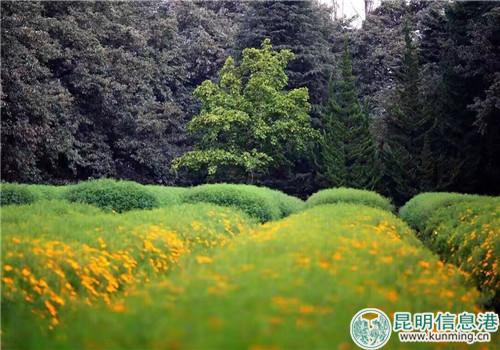 886442490_副本 886442490_副本