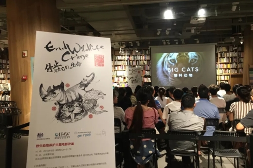 640.webp (1) 640.webp (1)