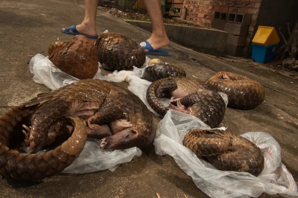 640.webp (13) 640.webp (13)