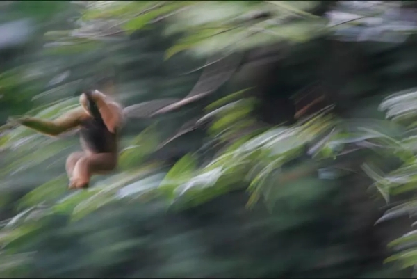 640.webp (16) 640.webp (16)