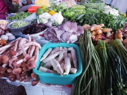 微信图片_20181119114917 微信图片_20181119114917