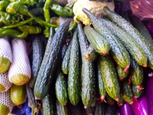 微信图片_20181119114919 微信图片_20181119114919