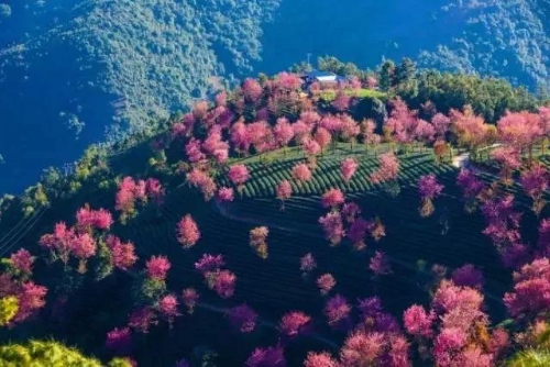 微信图片_20181120154622