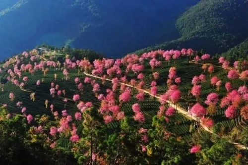 微信图片_20181120154632