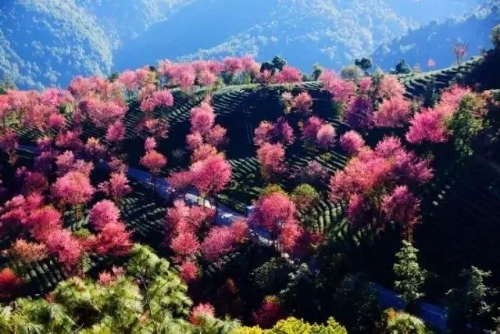 微信图片_20181120154634