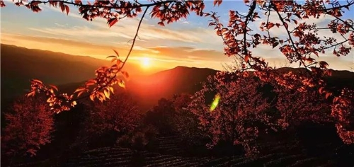 微信图片_20181120154637