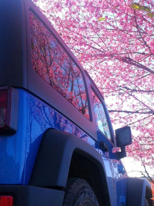 微信图片_20181120154642