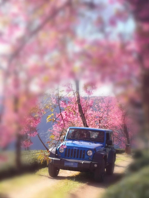 微信图片_20181120154645