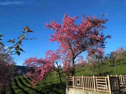 微信图片_20181120154653