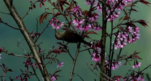 微信图片_20181120154658