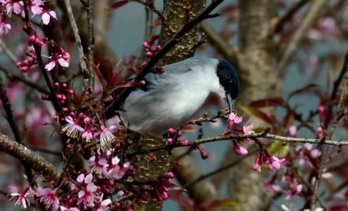 微信图片_20181120154700