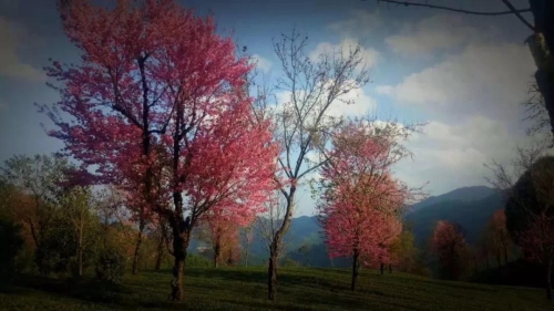 微信图片_20181120154705