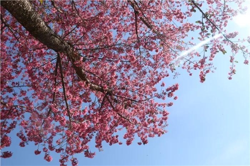 微信图片_20181120154718