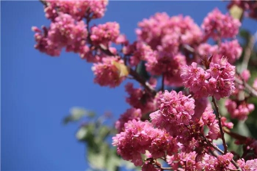 微信图片_20181120154724