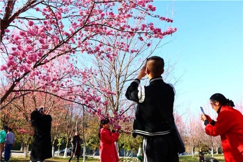 微信图片_20181120154726