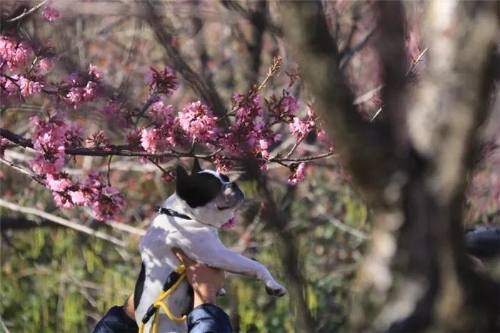 微信图片_20181120154729