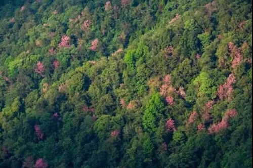 微信图片_20181120154738