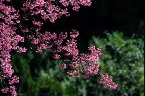 微信图片_20181120154740