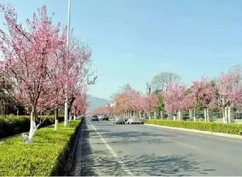 微信图片_20181120154749