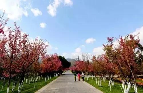 微信图片_20181120154752