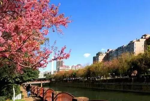 微信图片_20181120154754