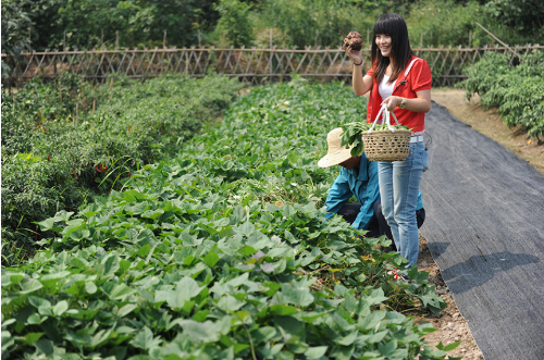 微信截图_20181121102004