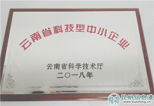 昆明信息港获准认定为云南省科技型中小企业。记者刘雄斌 摄