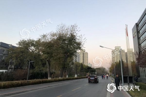 1123751213_15428525101051n 1123751213_15428525101051n