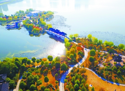 1123749753_15428466012631n 1123749753_15428466012631n