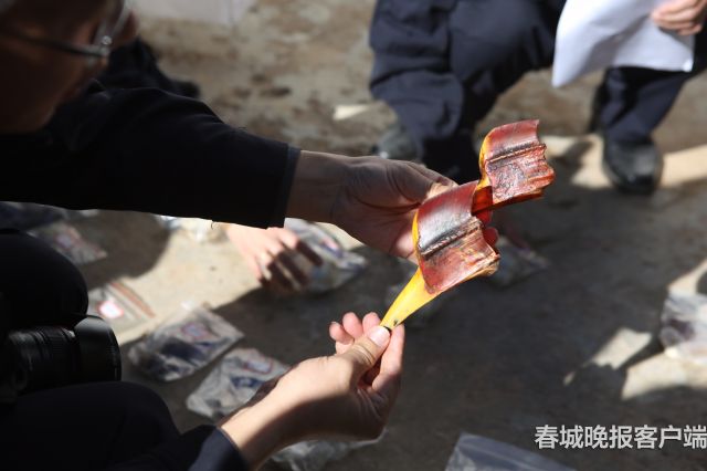 昆明森林公安破获特大危害野生动物案件