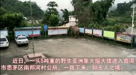 QQ截图20181123212438