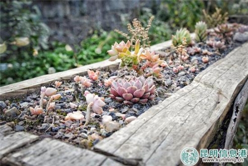 QQ截图20181124140423