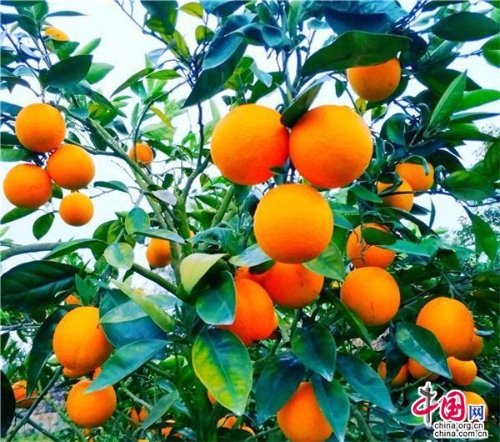 1f449a71-10fe-425e-92f0-781c10673b60_batchwm 1f449a71-10fe-425e-92f0-781c10673b60_batchwm