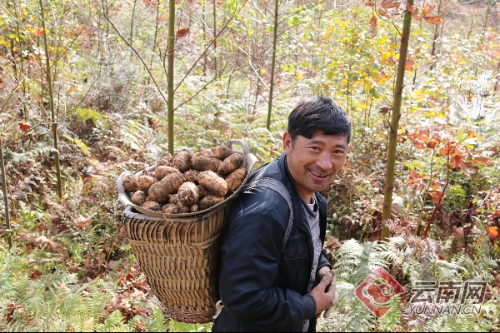 00300212983_051fefd8 00300212983_051fefd8