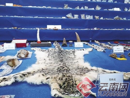 00300213163_67e3bddb