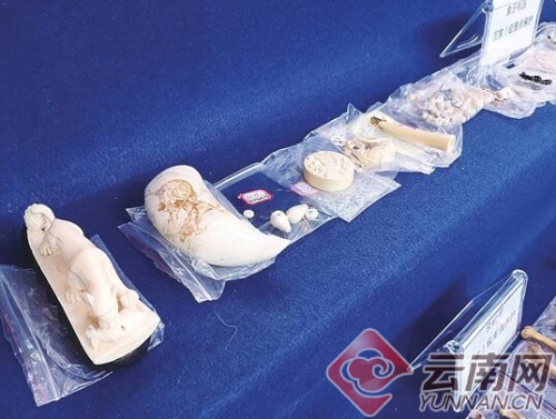 00300213164_ba729162