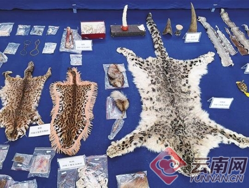 00300213165_31957469