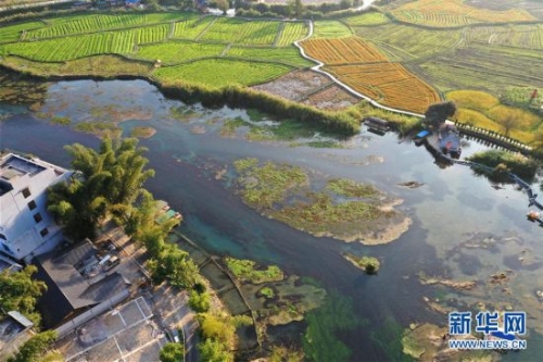 （环境）（6）广西靖西：冬日乡村美如画