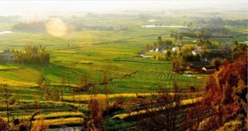 00300218012_b1181568 00300218012_b1181568