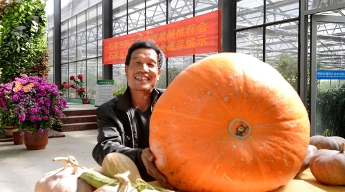 MAIN201810130945000458474634210