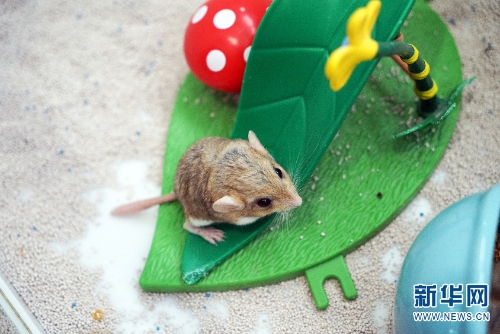 137646098_15438034141151n