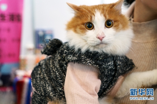 137646098_15438034141651n