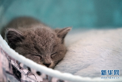 137646098_15438034144001n