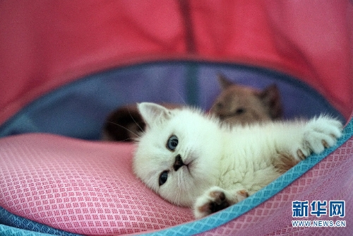 137646098_15438034144621n