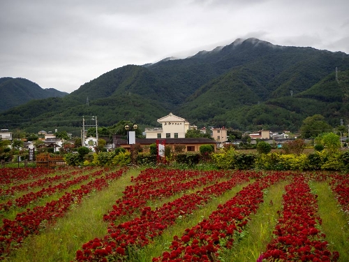 MAIN201811191602000474812879897