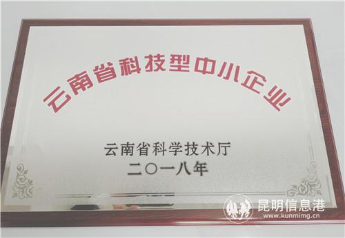 昆明信息港获准认定为云南省科技型中小企业。记者刘雄斌 摄 昆明信息港获准认定为云南省科技型中小企业。记者刘雄斌 摄