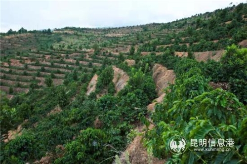 QQ图片20181211174817 QQ图片20181211174817