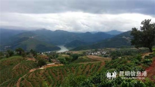 QQ图片20181211174808 QQ图片20181211174808