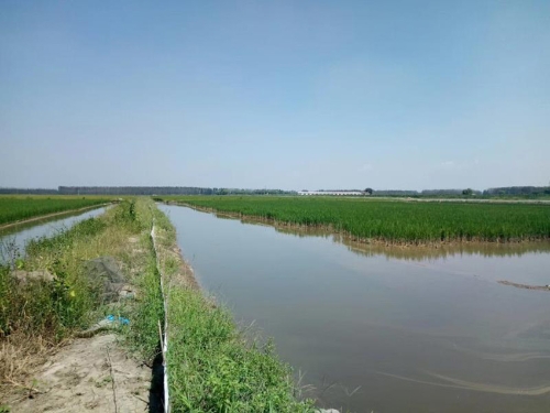 MAIN201810191448000230151256493